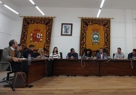 Instante del pleno celebrado el pasado 19 de marzo.