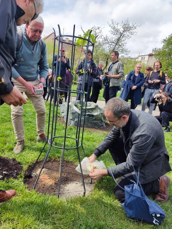 Tierra de Antas para el Árbol de la Memoria de Praga