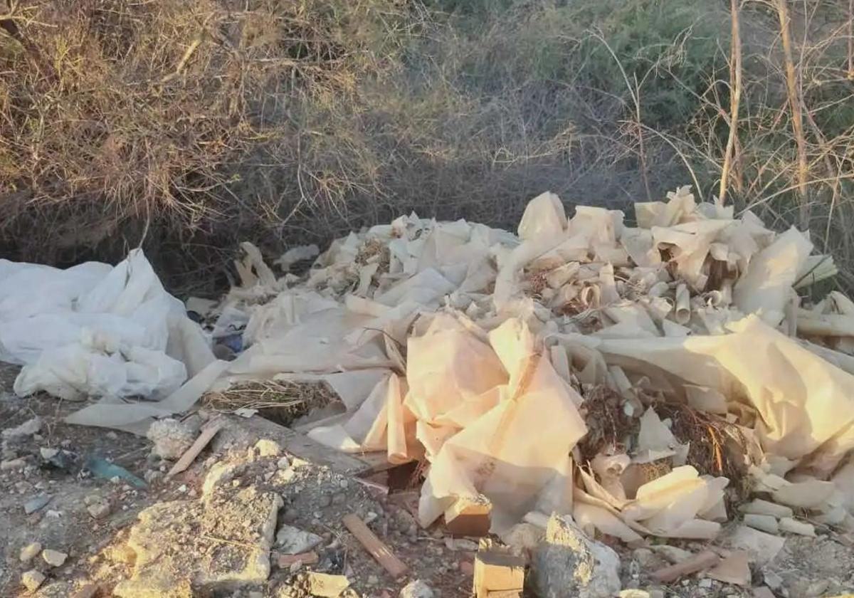 La Junta licita el sellado y clausura del vertedero de Cuevas del Almanzora por 1,7 millones