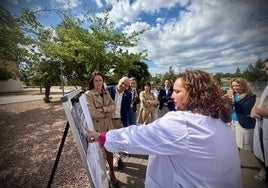 La Junta licita las obras de urbanización para la futura ampliación del Hospital La Inmaculada