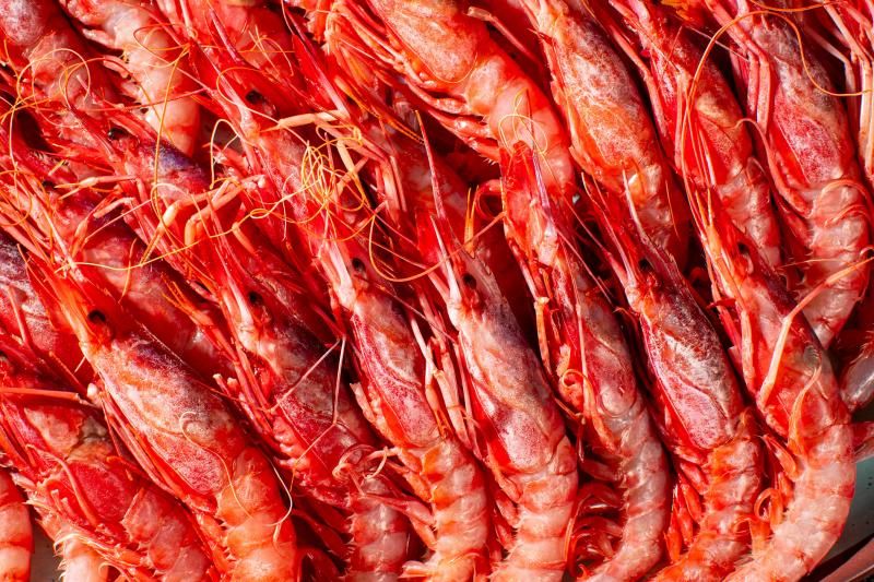 Gamba roja.