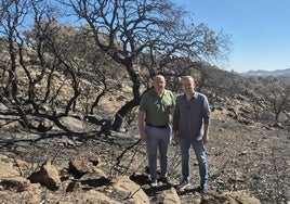 El PSOE exige a Moreno Bonilla depurar todas las responsabilidades en el incendio forestal de Lubrín