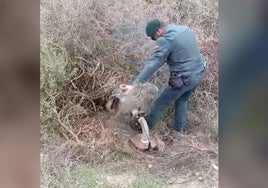 Extraen 9,5 millones de metros cúbicos de agua y causan un daño al ecosistema de más de 400 millones de euros