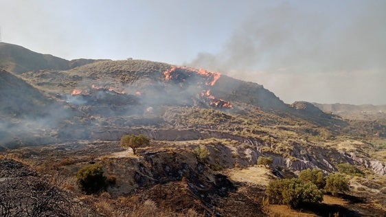 Declarado un incendio forestal en el paraje El Saltador de Carboneras