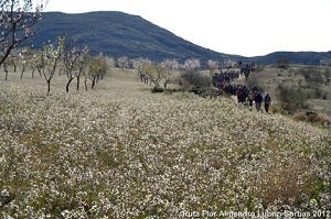Más de 200 senderistas participan en la Primera Ruta Flor de Almendro