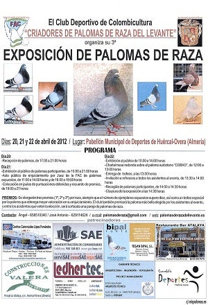El Pabellón de Deportes acoge la tercera Exposición de Palomas de Raza