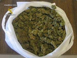 Detenidos por cultivar marihuana en el patio de su casa y comercializarla en Huércal-Overa