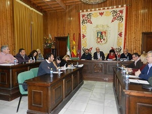 El Pleno aprueba la creación de la tarjeta de residentes de la zona azul para facilitar a los vecinos el uso de estos aparcamientos