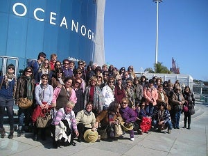 Exposiciones de pintura, información en los colegios sobre la importancia de las mujeres en el mundo y un viaje de convivencia y ocio, serán las actividades que Pulpí ha organizado para celebrar el “DÍA DE LA MUJER”