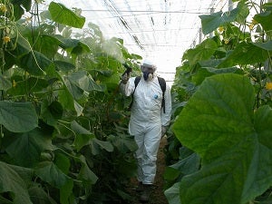 La Junta de Andalucía imparte en Huércal-Overa un curso de aplicador de plaguicidas, de nivel cualificado