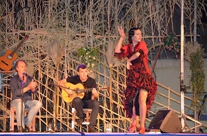 IV Certamen de Flamenco 'Las Fraguas' de Turre