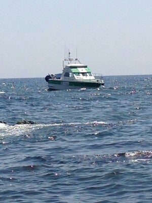 El Ayuntamiento de Vera denuncia la aparición de manchas en las aguas del litoral y manda un mensaje de tranquilidad a los bañistas porque siguen siendo aptas para el baño