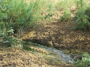 CAMP Levante habla de ‘contaminación por vertidos de aguas residuales ‘mal tratadas’’