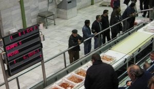 Pescadores de Garrucha aseguran que siguen 'sin rastro' de la gamba roja en su litoral