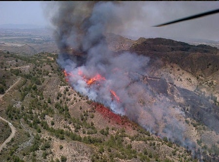 Incendio forestal en la rambla Uribe de Huércal-Overa