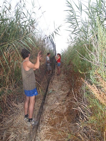 La experiencia pionera del CAMP Levante llega hasta Francia