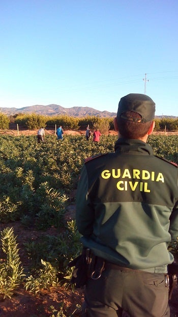 Detienen a un vecino de Huércal-Overa por un presunto delito contra los trabajadores