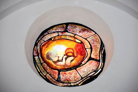 La fecundación, gestación y parto de la Virgen María ya completo en la Iglesia de Turre