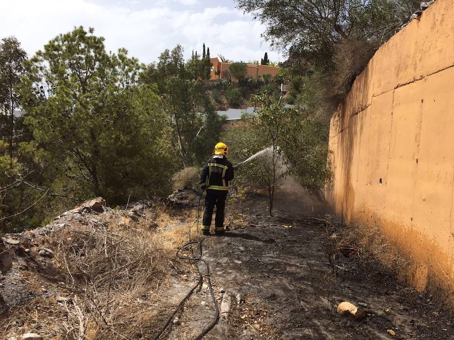 Bomberos del Levante sofocan un incendio forestal en La Paratá