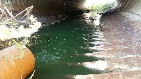 Agua que se vierte al río Almanzora y de ahí a la desembocadura con el mar, directamente y sin una depuración adecuada. 