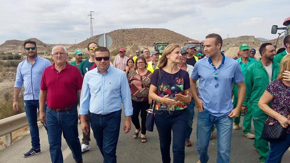 El PP anuncia que Fomento avanza en "reducir las afecciones" por la reserva para la tortuga mora en el AVE de Cuevas