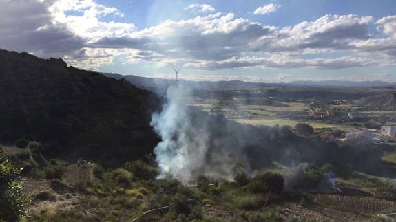Un incendio arrasa media hectárea de monte en Mojácar