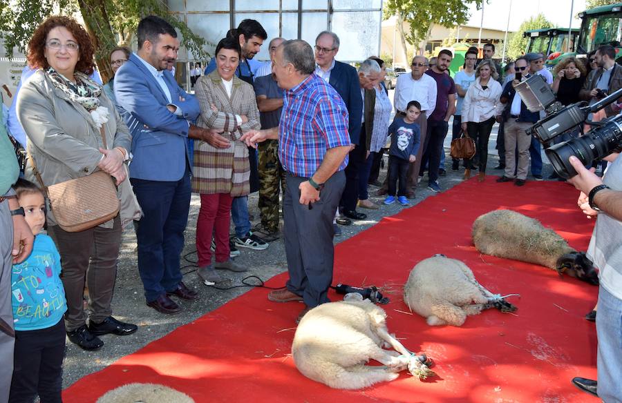 La Feria de Ganado de Loja está organizada por el Ayuntamiento de Loja y la Asociación de Criadores de la Raza Ovina Lojeña y cuenta con la colaboración de la Asociación del Poniente Granadino, la Diputación de Granada, la Junta de Andalucía y el Ministerio de Agricultura. 