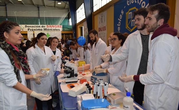 Momentos de la feria. 