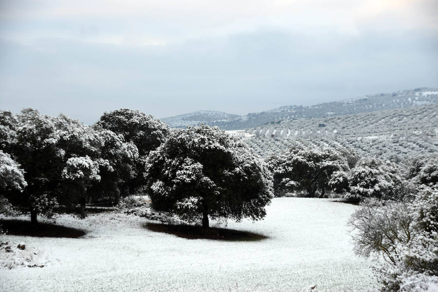 El Poniente se tiñe de blanco 