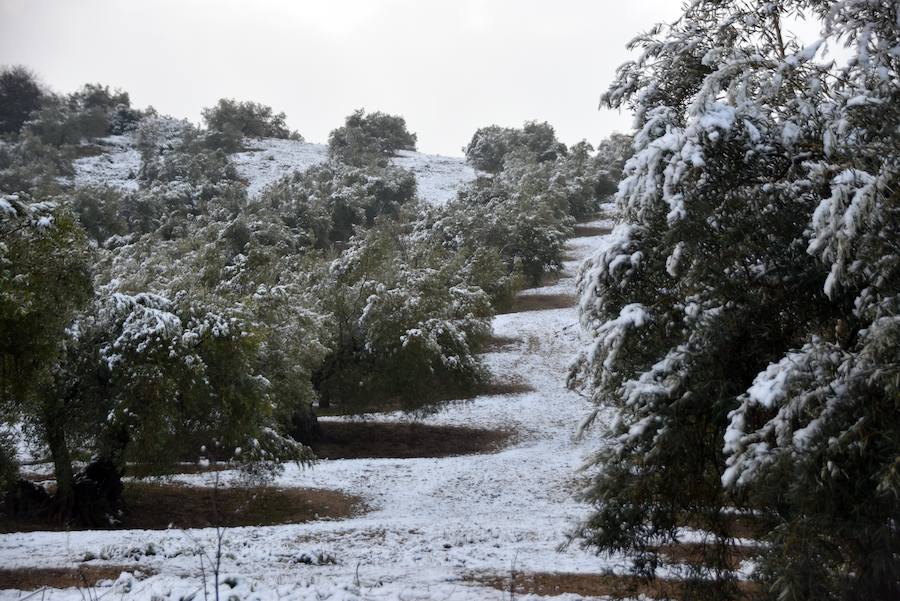 El Poniente se tiñe de blanco 