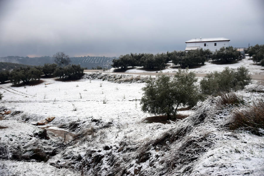 El Poniente se tiñe de blanco 