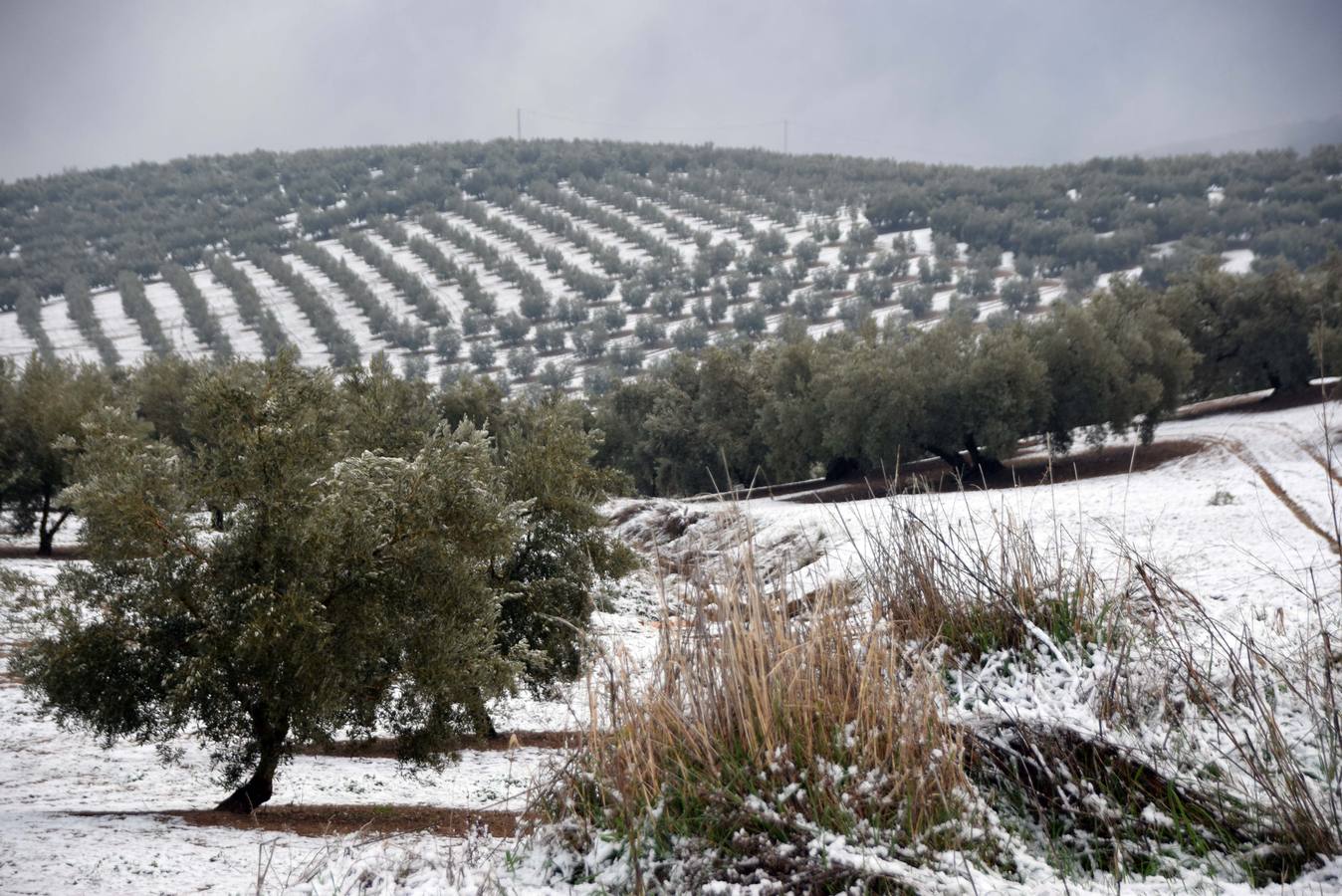 Ventorros de San José, Montefrío y la carretera a Tocón, tras la nevada de este domingo