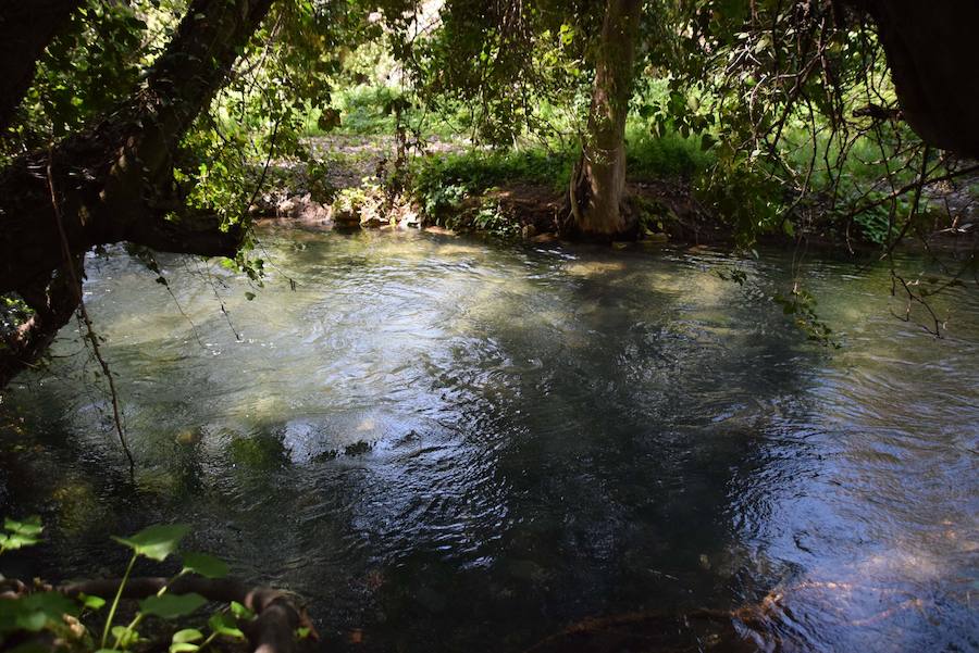 Fotos: El nacimiento de Riofrío, pleno en primavera