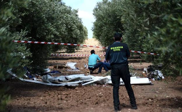 Los restos de la avioneta han quedado destrozados entre los olivos 