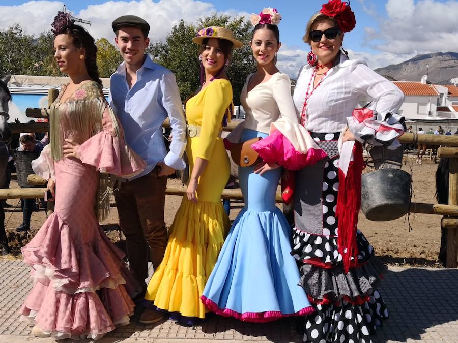 Fotos: 182 años de feria salareña