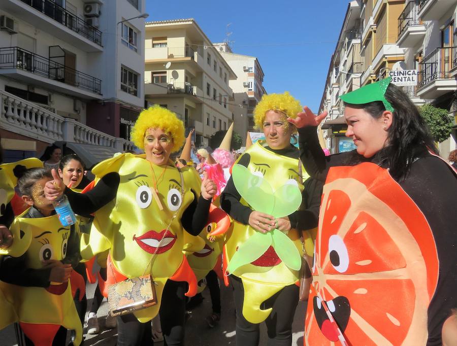 Más de 2.000 personas -entre alumnos, docentes y familiares- han participado en este pasacalles carnavalesco, que ha recorrido el centro de la ciudad durante buena parte de la mañana.