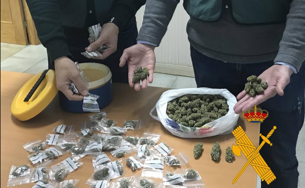 Dos detenidos en Roquetas en una operación contra el tráfico de drogas en la que se han incautado 106 plantas de marihuana