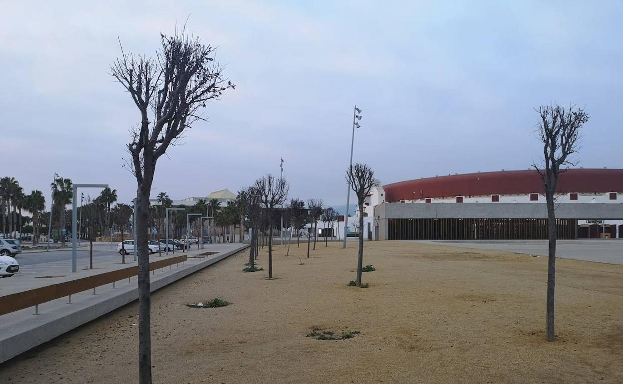 La principal partida eliminada es la de mantenimiento de parques y jardines, de 2 millones de euros. 