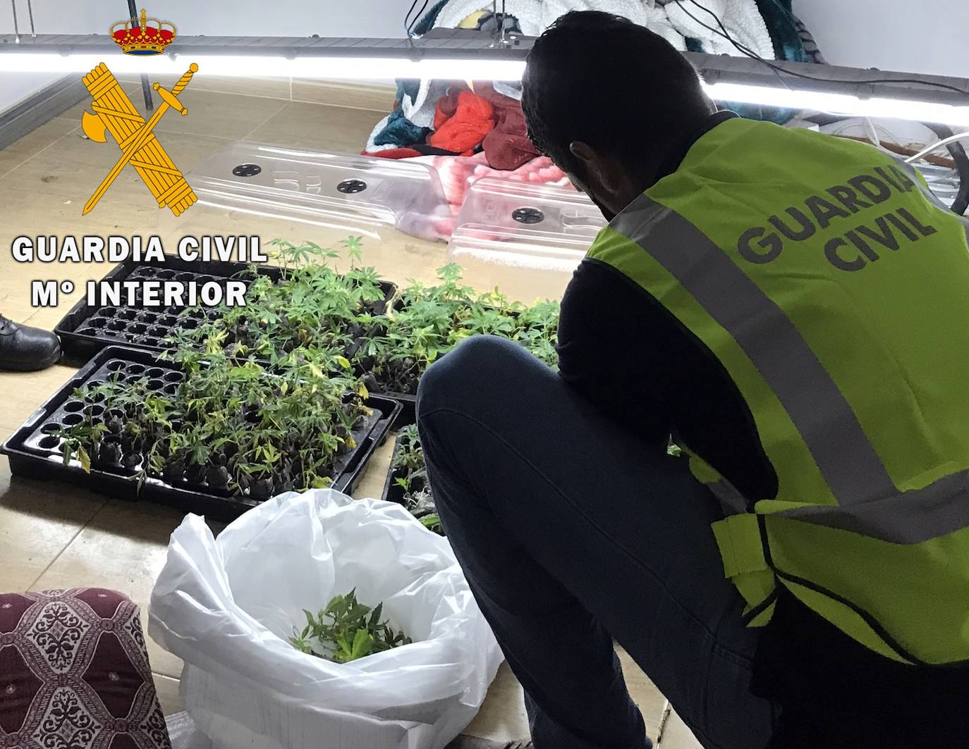 Los agentes encontraron una plantación indoor de marihuana y un activo punto de venta de droga. 