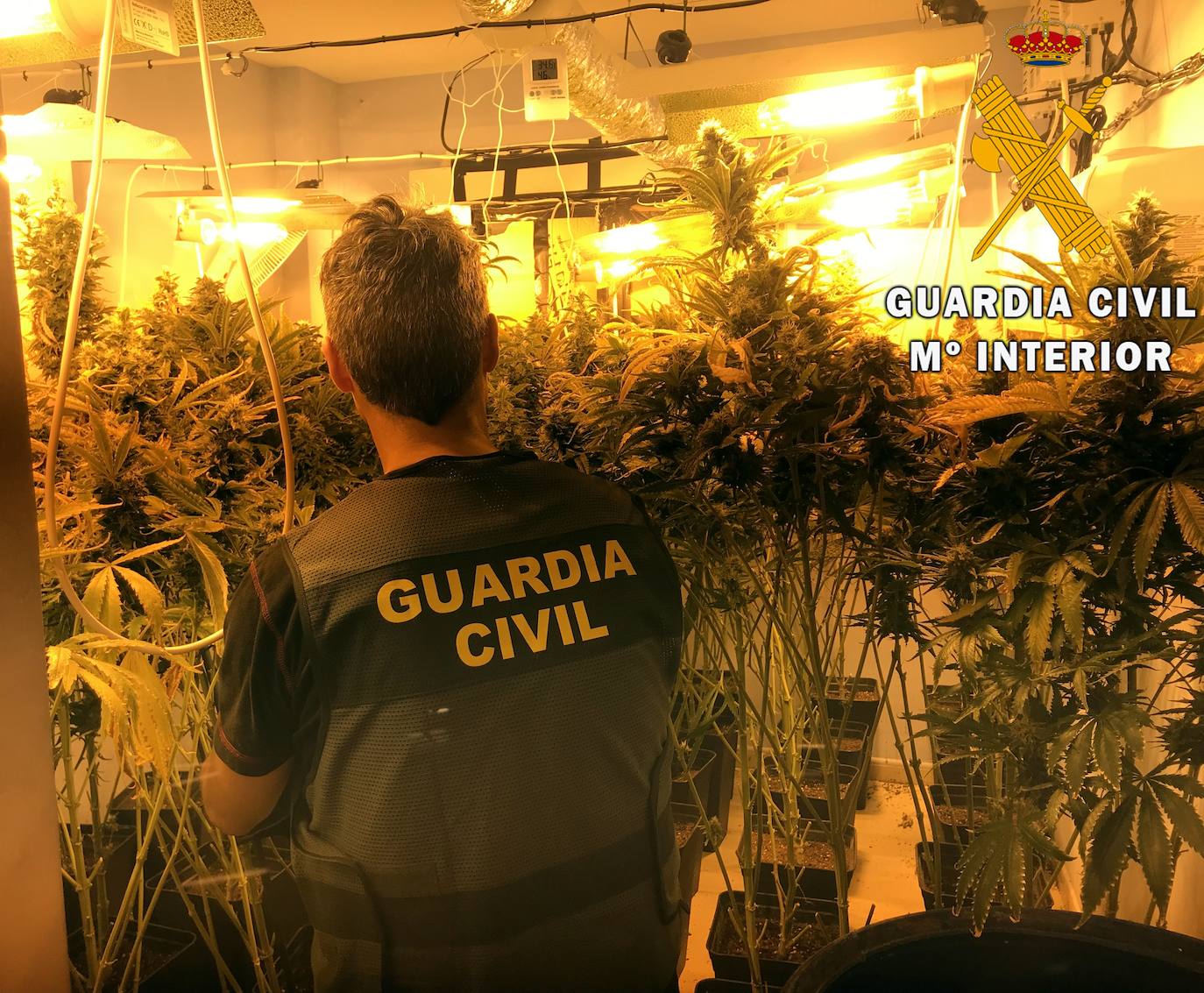 Agentes de la Guardia Civil encontraron una plantación indoor en una vivienda de Roquetas. 