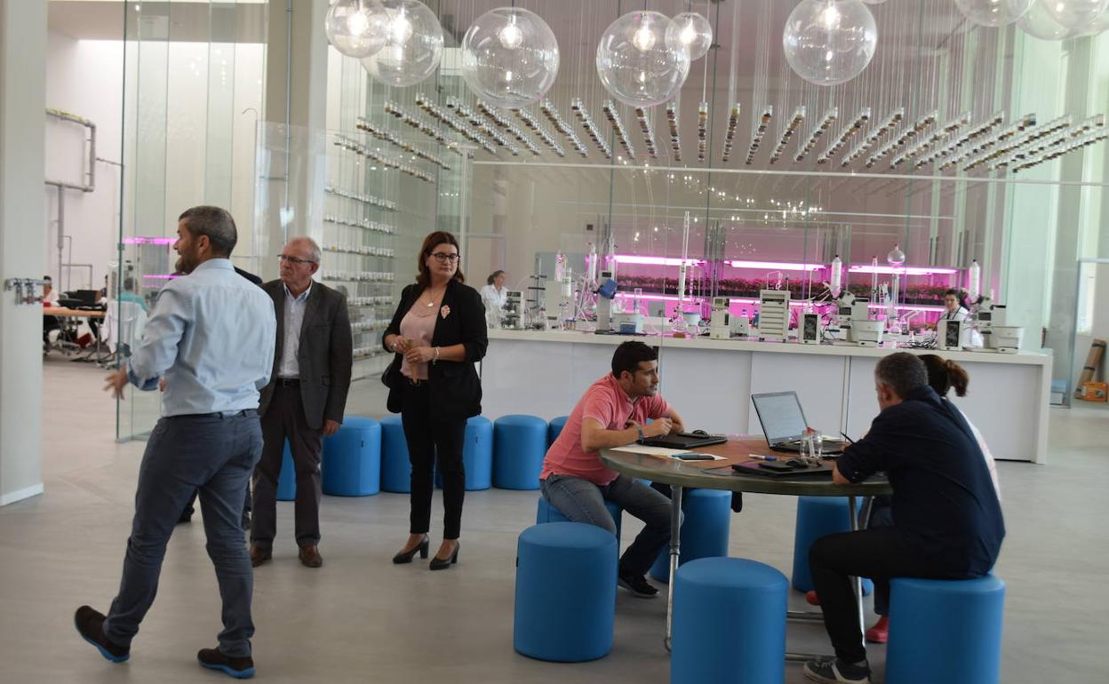 Kimitec proyecta en Vícar un centro de biotecnología agraria
