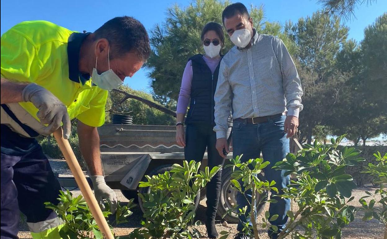 Casi 2.000 nuevas plantas y árboles gracias al Plan Savia de la Diputación