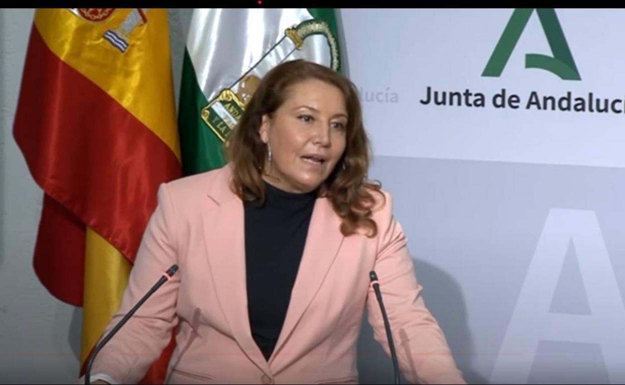 Carmen Crespo en su comparecencia de hoy. 