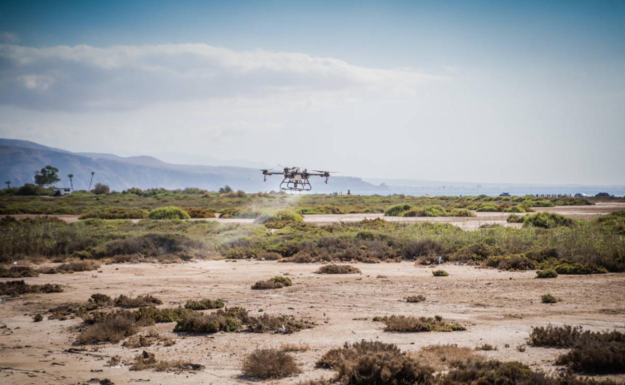 Roquetas usa la última tecnología en drones y sistemas informáticos para el control de mosquitos
