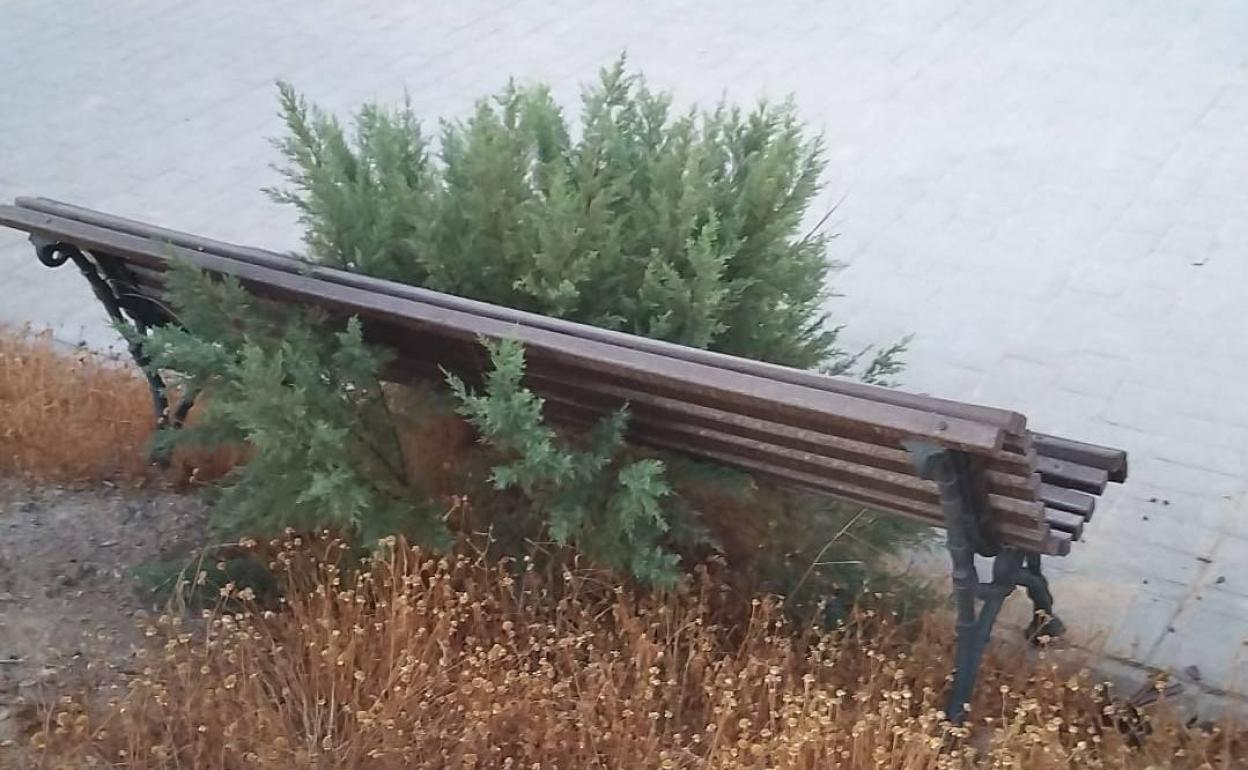 IU dice que lleva 12 años denunciando el abandono de la rambla de Las Hortichuelas sin que el PP haga nada