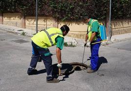Los trabajos de control de plagas llegan a la Puebla de Vícar Norte