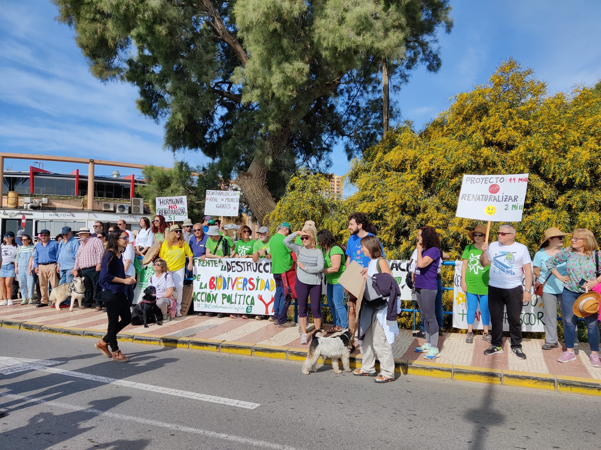 Decenas de personas rechazan el «hormigonado» de la rambla de San Antonio