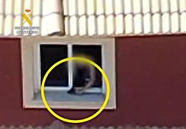 Momento en el que el detenido deja la pistola en la ventana.
