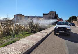 Ecologistas reclaman tratamientos preventivos contra las larvas para combatir los mosquitos