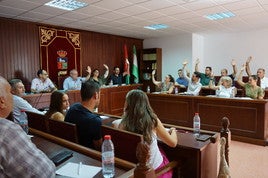 Imagen de uno de los plenos recientes en el Ayuntamiento de Vícar.